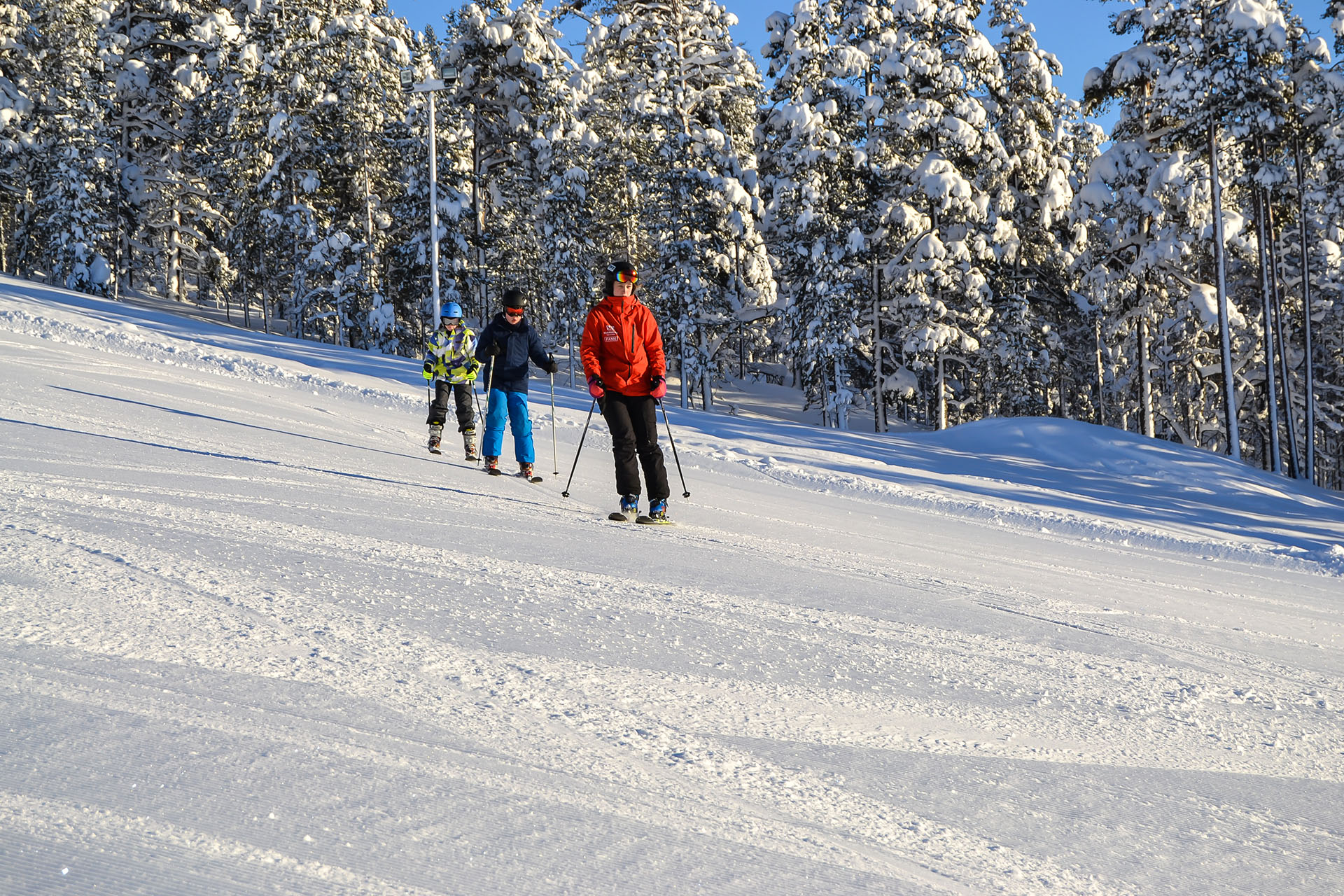 Kolme ihmistä laskee suksilla alas lumipeitteistä rinnettä, jota reunustavat lumiset männyt.